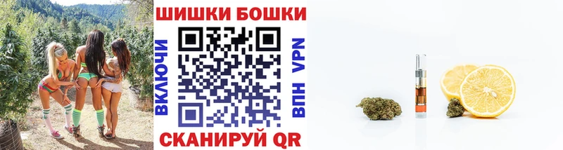 Виды наркотиков купить Новая Ладога Alpha-PVP  Псилоцибиновые грибы  МАРИХУАНА  Гашиш 