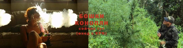 дживик Новодвинск