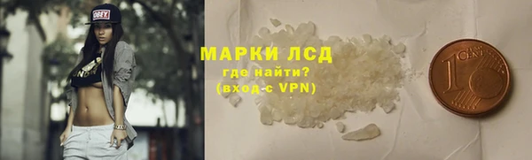 гашик Новозыбков
