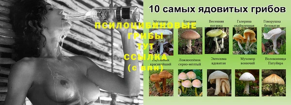 соль курить ск Алзамай