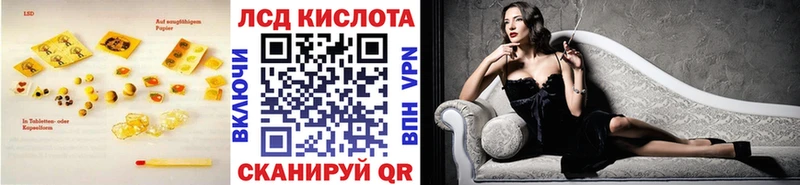 kraken вход  Новая Ладога  ЛСД экстази кислота  наркота 