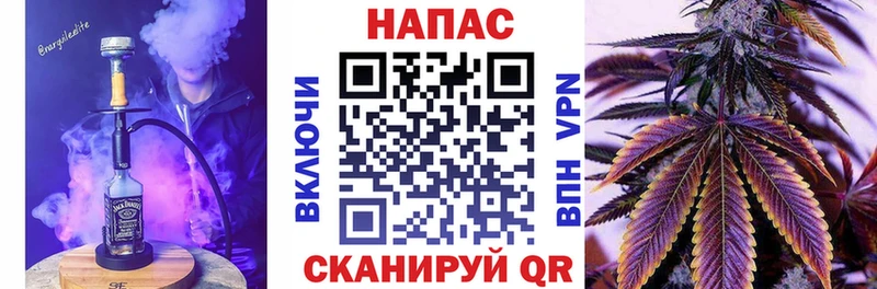Канабис планчик  как найти наркотики  Новая Ладога 